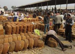 The Matel International - WhatsApp Image 2025-09-29 at 10.23.51 AM